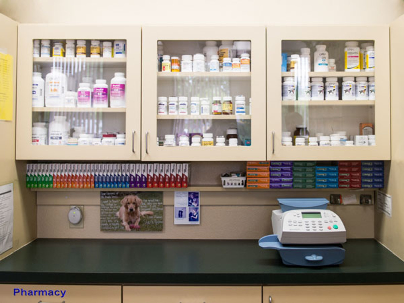 Veterinary Medicine and Products Manufacturers